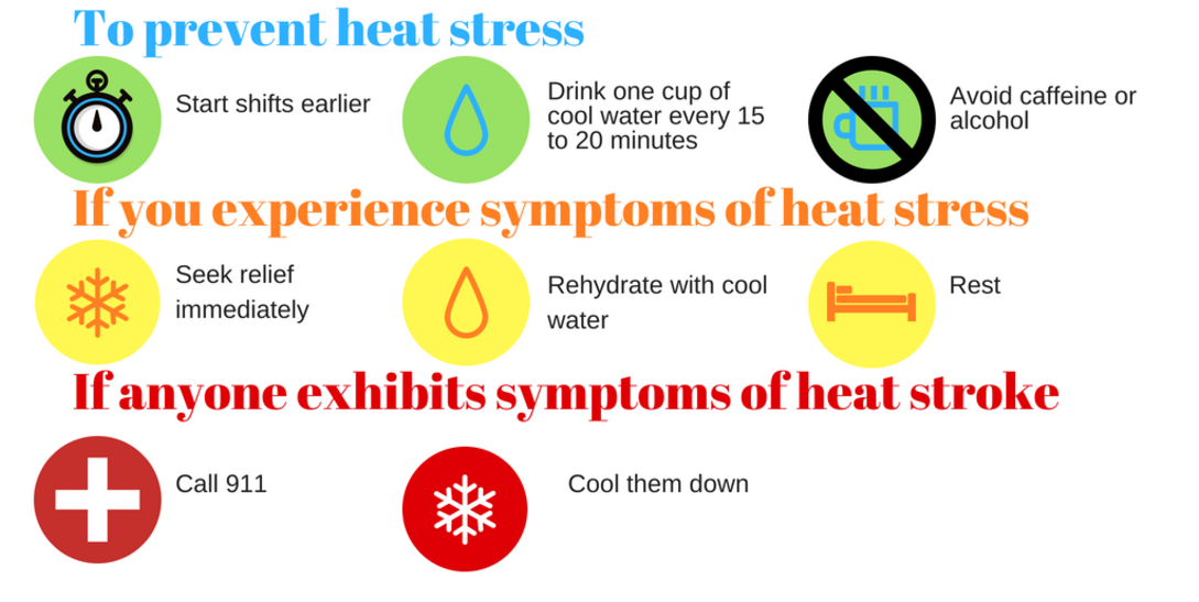 Symptom (1088x816), Png Download