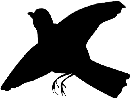 Flying Bird Silhouette Png Www Imgkid Com The Image - Vaux S Swift (470x420), Png Download