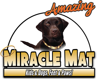 Miracle Mat - Mat (399x327), Png Download