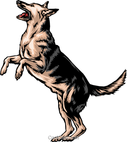 German Shepherd Royalty Free Vector Clip Art Illustration - German Shepherd Standing On Hind Legs (431x480), Png Download
