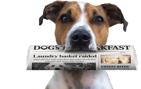 Packaging And Labeling (650x400), Png Download