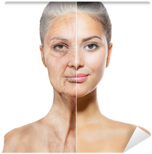 Faces Of Young And Old Women Wall Mural • Pixers® • - Eboot Headband Soft Velvet Band Wig Grip Hold Extra (400x400), Png Download