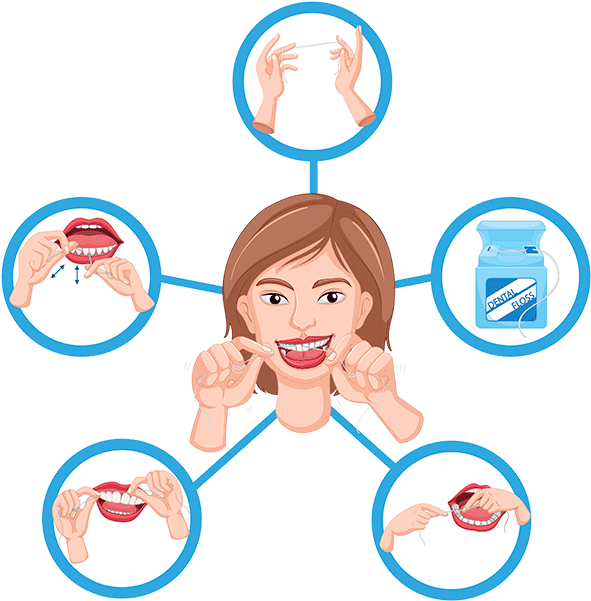 Proper Flossing Technique - Proceso De Limpieza De Dientes (600x614), Png Download