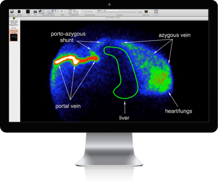 Mac Display Overlay Portoazygousshunt - Advanced Veterinary Medical Imaging (451x378), Png Download