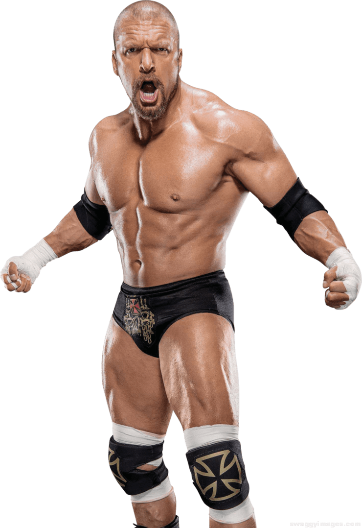 Triple H Png Pics - Triple H 2017 Transparent (740x1078), Png Download