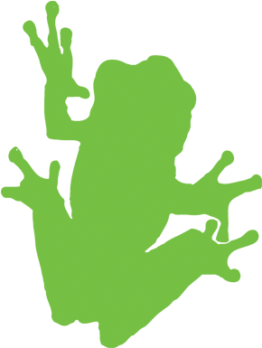 Tree Frog - Tree Frog Gallery & Natural Clothing (384x384), Png Download