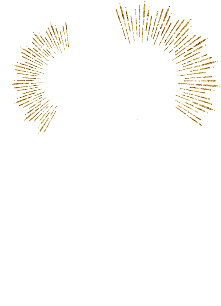 We Are A High-end Studio That Specializes In Heirloom - Fireworks (800x1093), Png Download