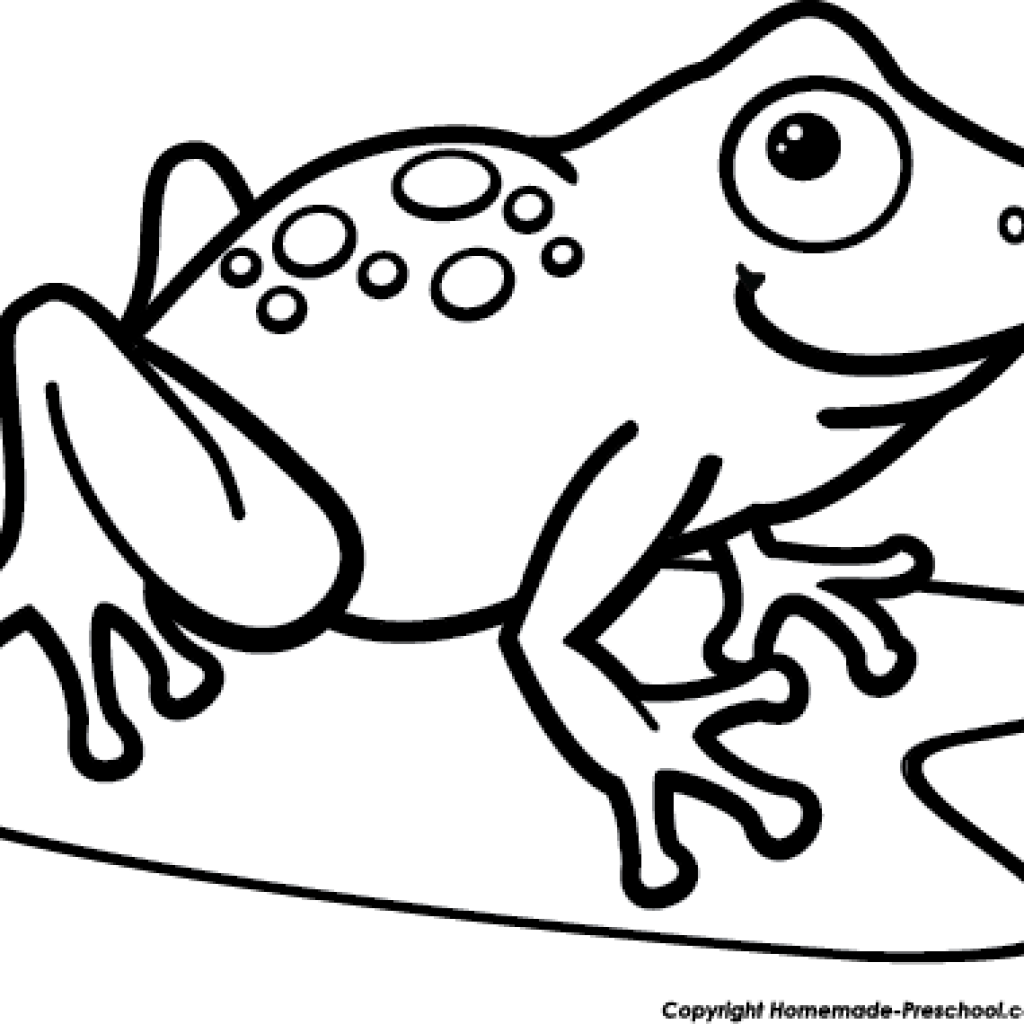 Black And White Frog Clipart 19 Tree Frog Png Transparent - Frog (1024x1024), Png Download