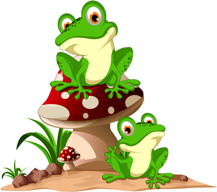 Shutterstock 262159388 - Cute Frogs Clipart (800x674), Png Download