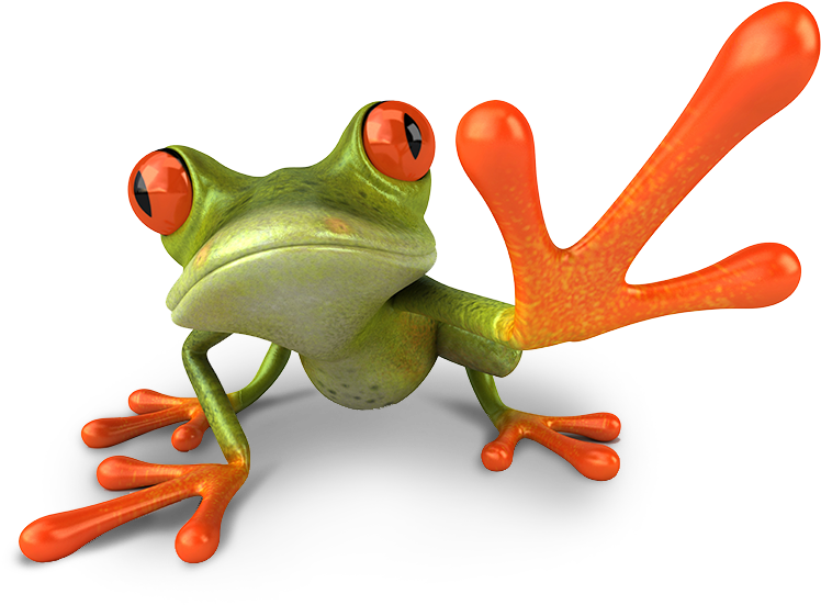 Frog Doing High Five - Green Orange Frog (767x575), Png Download