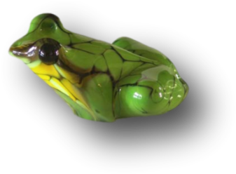 James Dodson ~ Green Tree Frog - Gallery Salamanca (400x400), Png Download