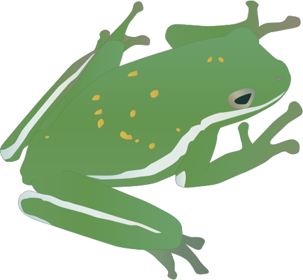 Hyla Cinerea - カエル イラスト フリー 商用 (433x400), Png Download