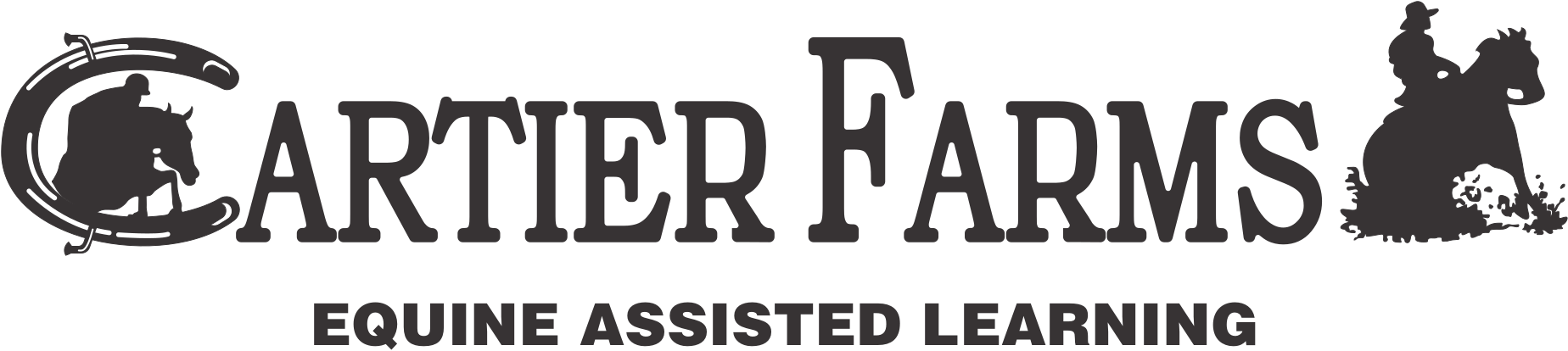 Picture - Horse (1848x414), Png Download