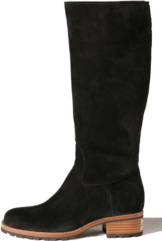 Uggs Come From - Suede (347x515), Png Download