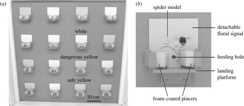 Experimental Set-up Showing The Artificial Meadow Containing - Monochrome (850x372), Png Download