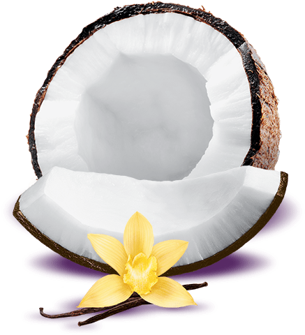 Post Navigation - Toasted Coconut Vanilla Yogurt (500x500), Png Download