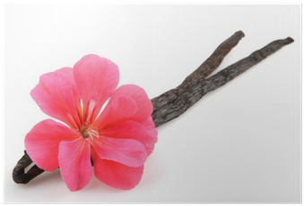 Flower (400x400), Png Download