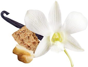 Vanille Noix De Grenoble, Épices Et Petits Biscuits - Honey Vanilla In Png (400x400), Png Download