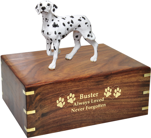 Wholesale Dalmatian Urn Engraved With Gold Fill - Dalmatian Dog (500x500), Png Download
