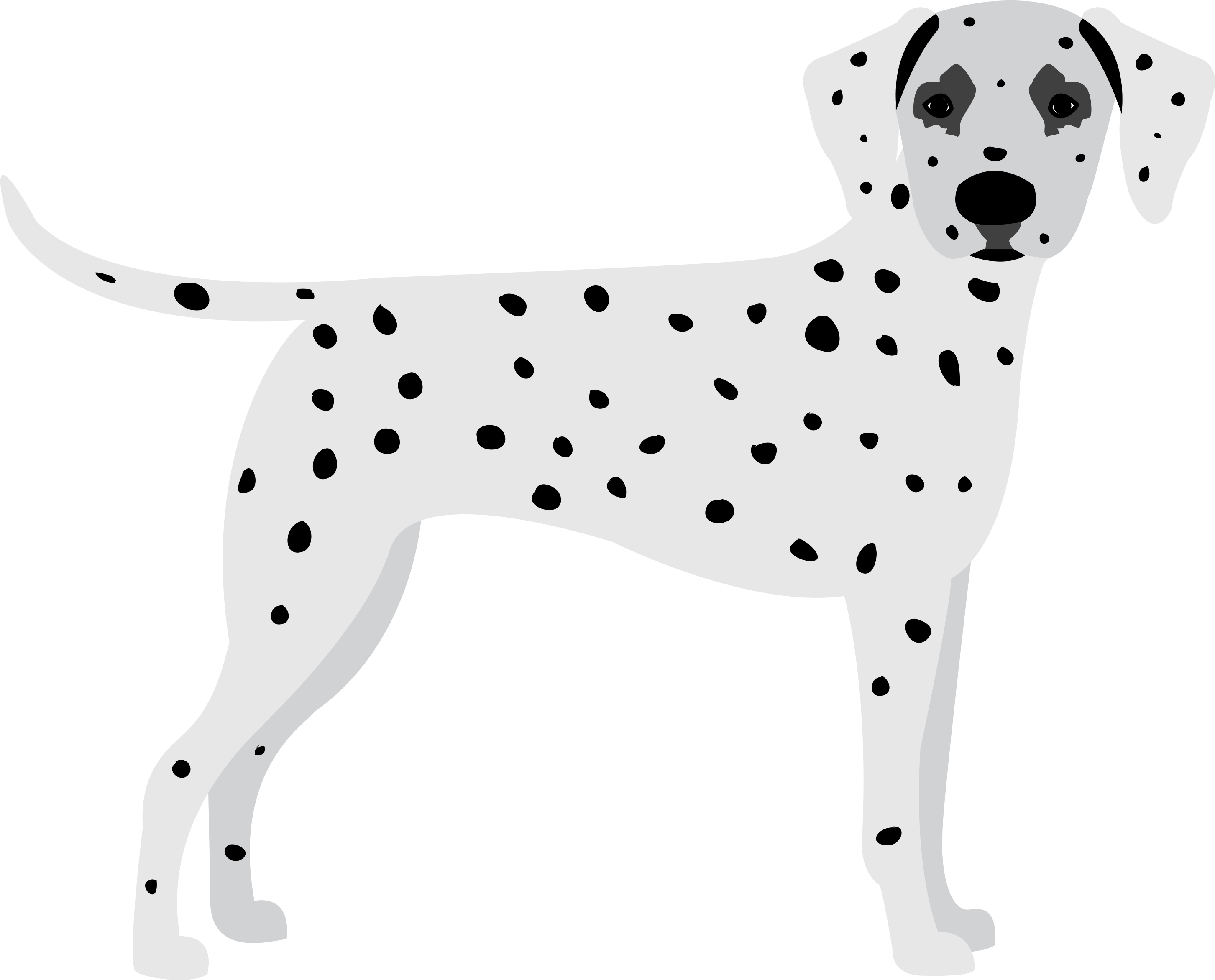 Dalmatian (3000x2400), Png Download