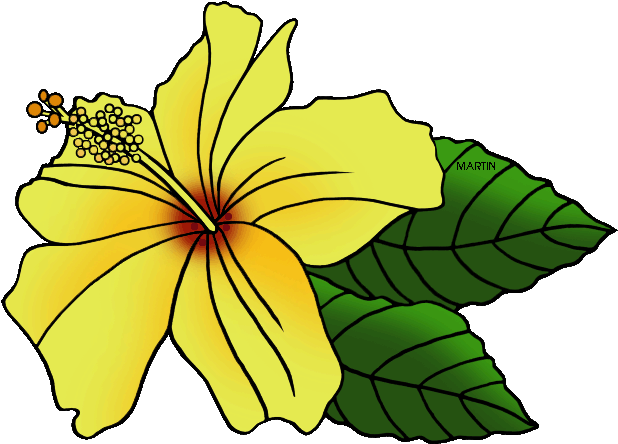 Where To Find Hawaiian Borders - Hawaii State Flower Clip Art (648x490), Png Download