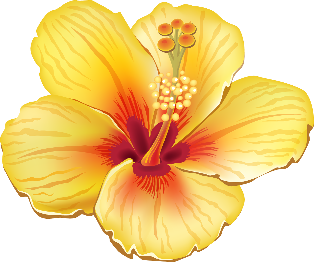 More Information - Tropical Flower Clipart (1278x1065), Png Download