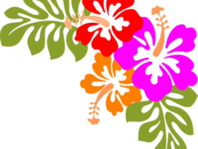 Polynesia Clipart Hawaii Flower - Hibiscus Clip Art (640x480), Png Download