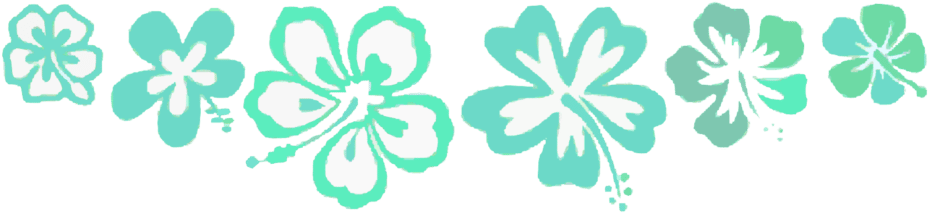 Hawaiian Flower Design Border - Hawaii (1024x373), Png Download