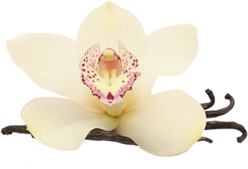 Vanilla Energy Drink Bulk Pack - Energy Drink (527x340), Png Download