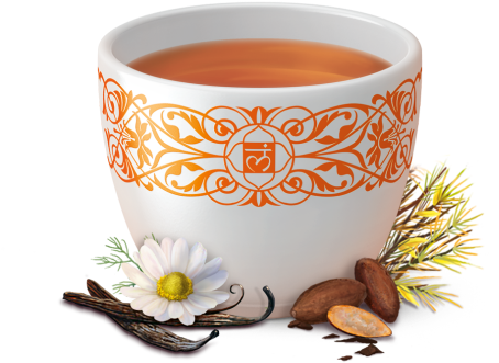 Bedtime Rooibos Vanilla - Yogi Tea Good Night Rooibos Vanilla 17 Bags (495x570), Png Download