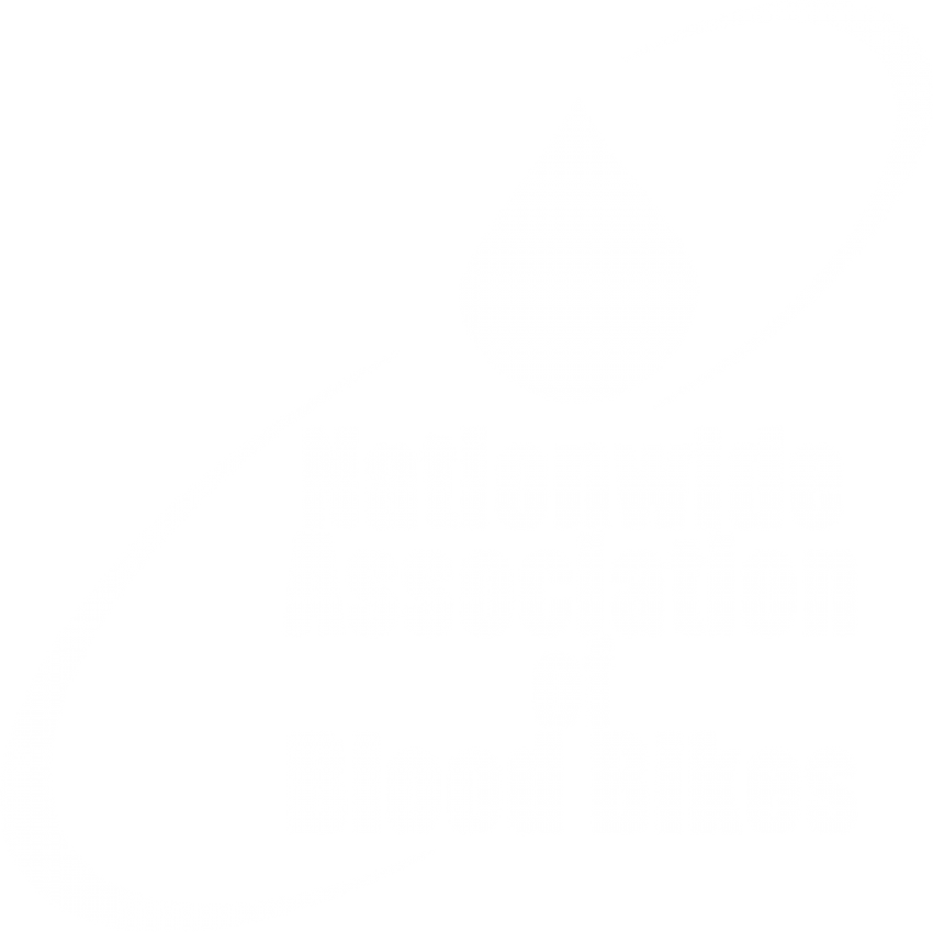 Blood Bikes - Blood Bike (500x499), Png Download