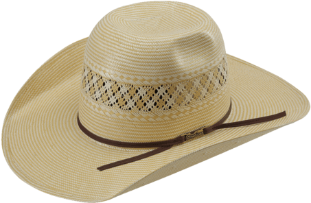 American Hat Co 1022 2x2 Two-tone Vented Shantung Straw - Tints And Shades (480x295), Png Download
