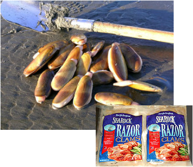 Alaskan Razor Clams - Razor Clams (379x328), Png Download