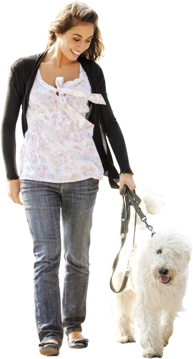 Contactus Girlanddog - Dog (437x750), Png Download