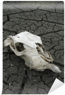 Global Warming (400x400), Png Download