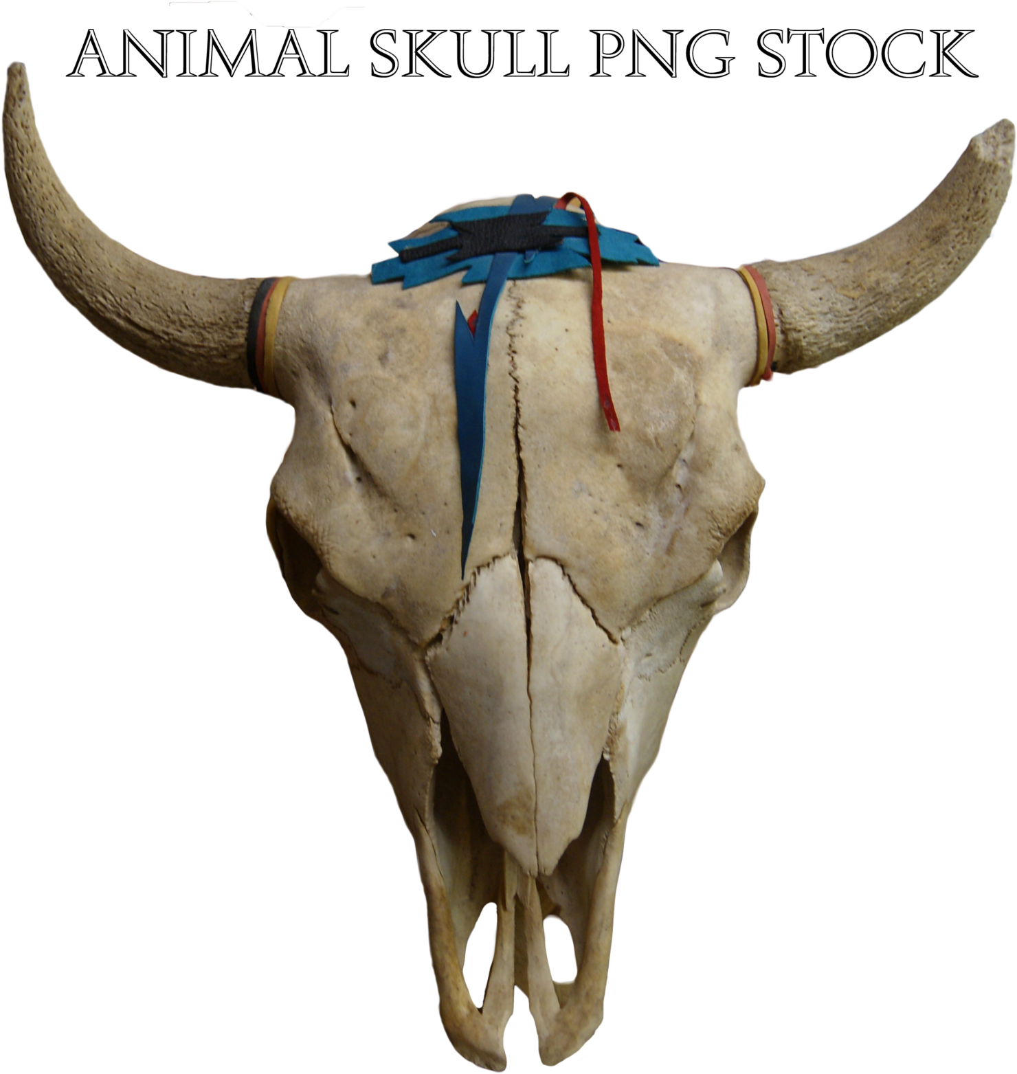Animal Skull - Animal Skull Png (1600x1722), Png Download