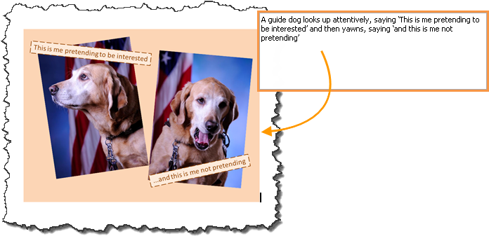 A Picture Shows A Guide Dog In Two Distinct Poses With - Alt Text Example (700x345), Png Download