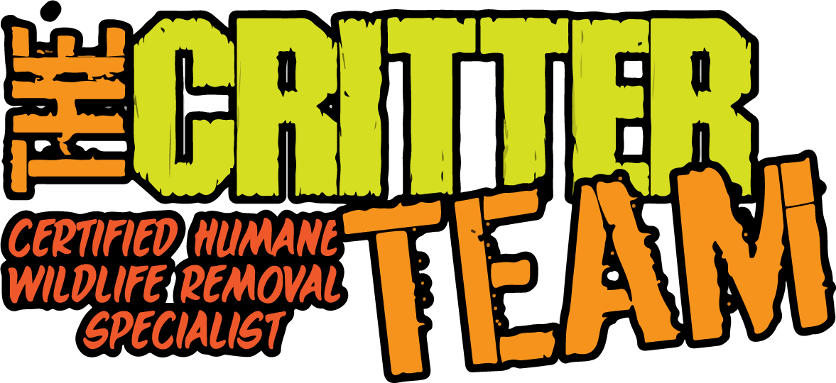 Dead Animal Removal Services - The Critter Team (1177x540), Png Download