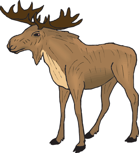 Moose - Clipart Moose (477x527), Png Download