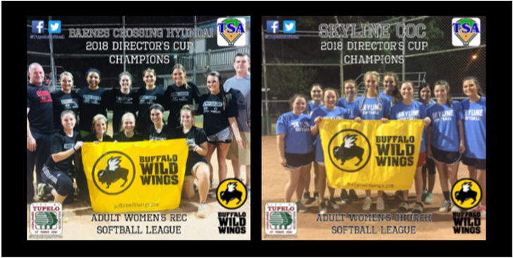 2018 Women's Director's Cup Champions (960x365), Png Download