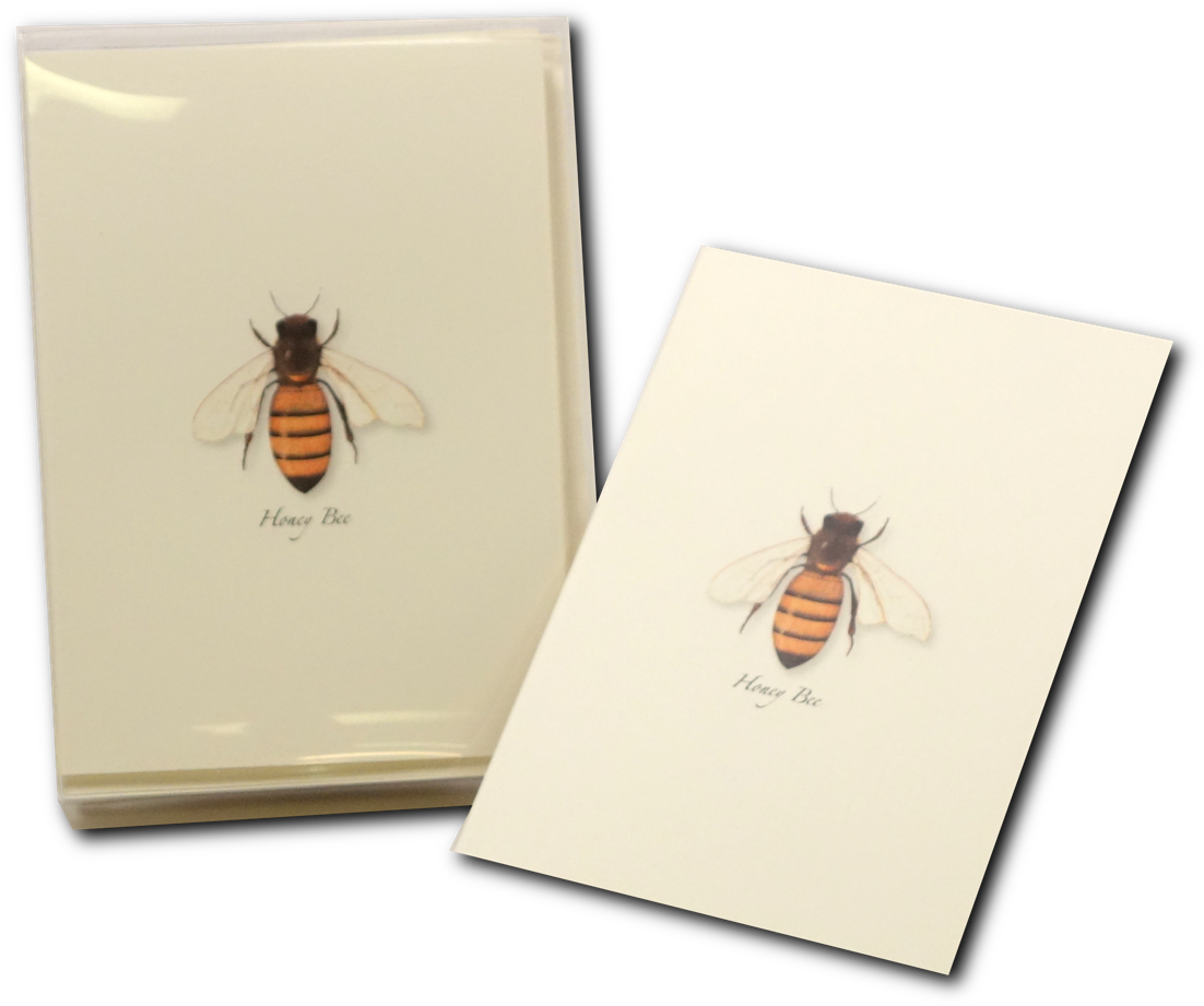 Shopping Cart -  -  - Honeybee (1200x1200), Png Download