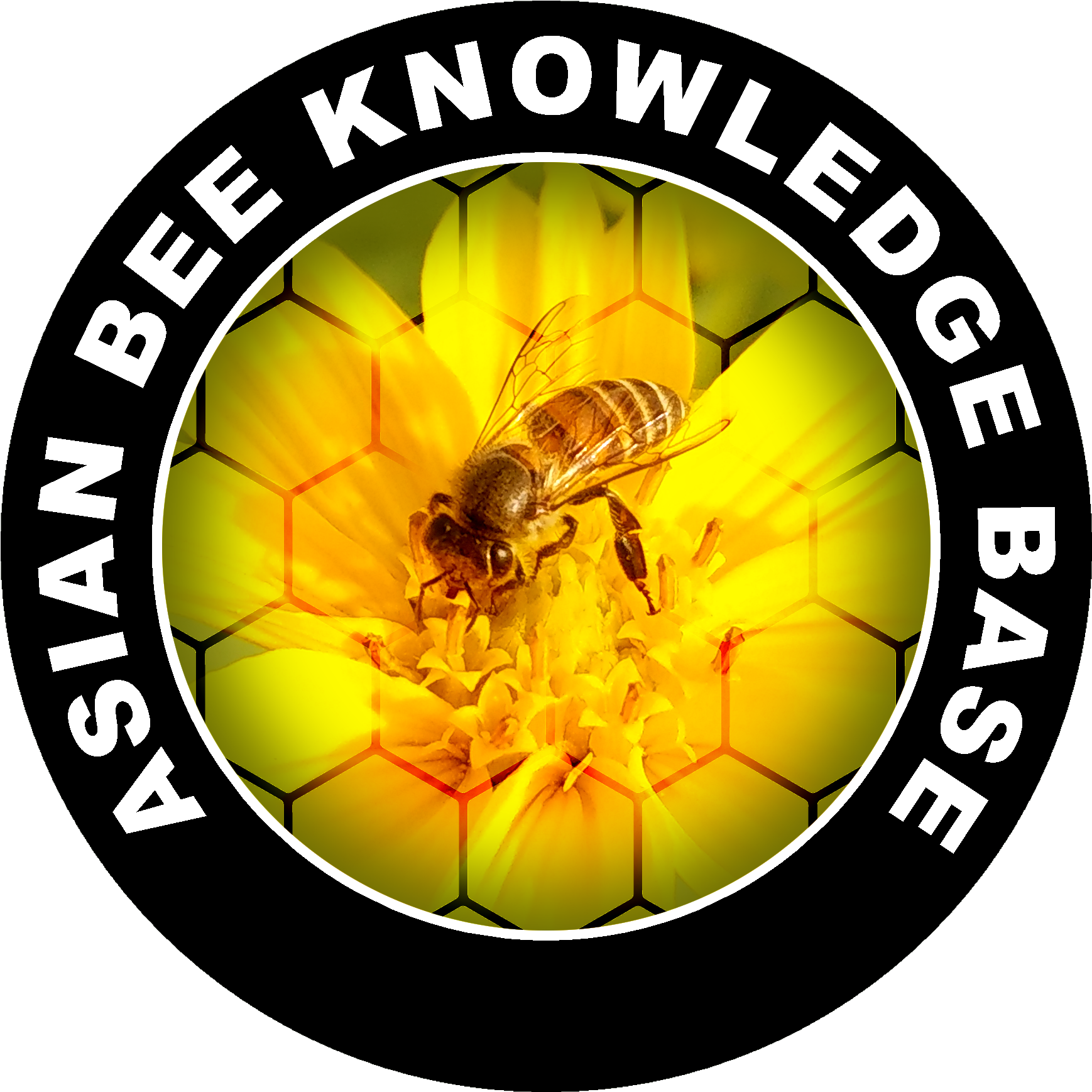 Bee - Harran Üniversitesi (2135x2135), Png Download