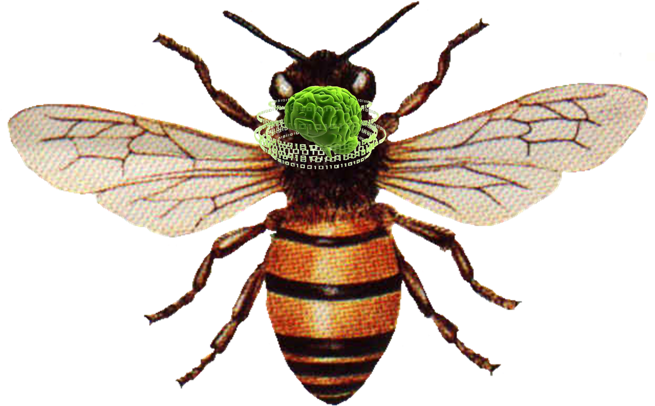 Honey Bee Png Download - Honey Bee (1300x831), Png Download