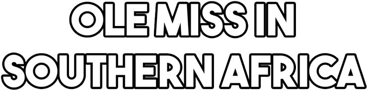 Southern Africa Logo Clean - Africa (800x220), Png Download