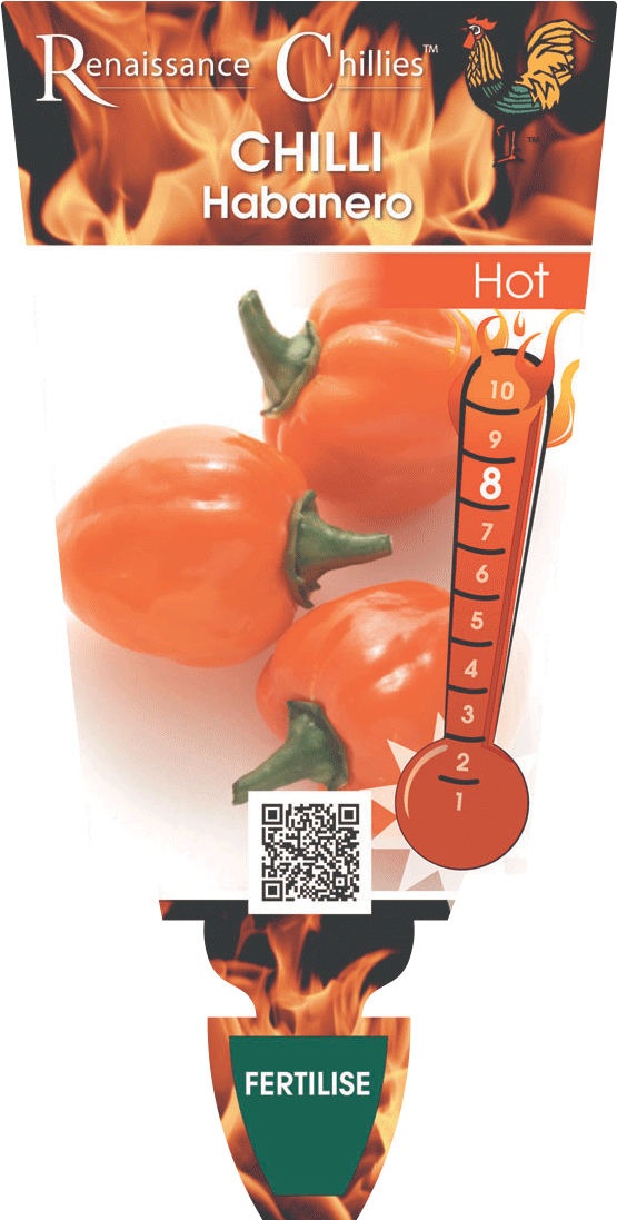 Chilli 'habanero' - Poster (600x1142), Png Download