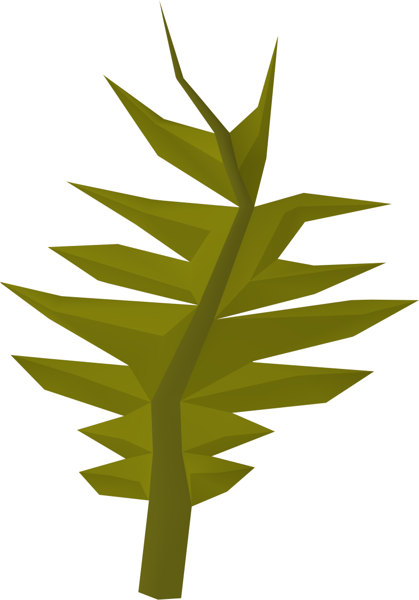 Seaweed Clipart Swamp - Wiki (817x1171), Png Download