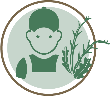 Increasing Farmer's Income - Illustration (575x375), Png Download