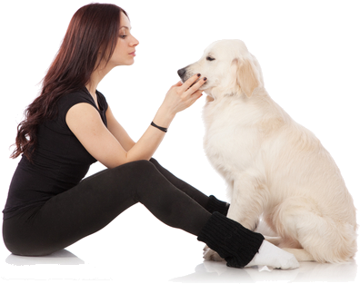 Vitahound Dog Lover And Her Lab - Golden Retriever (500x334), Png Download