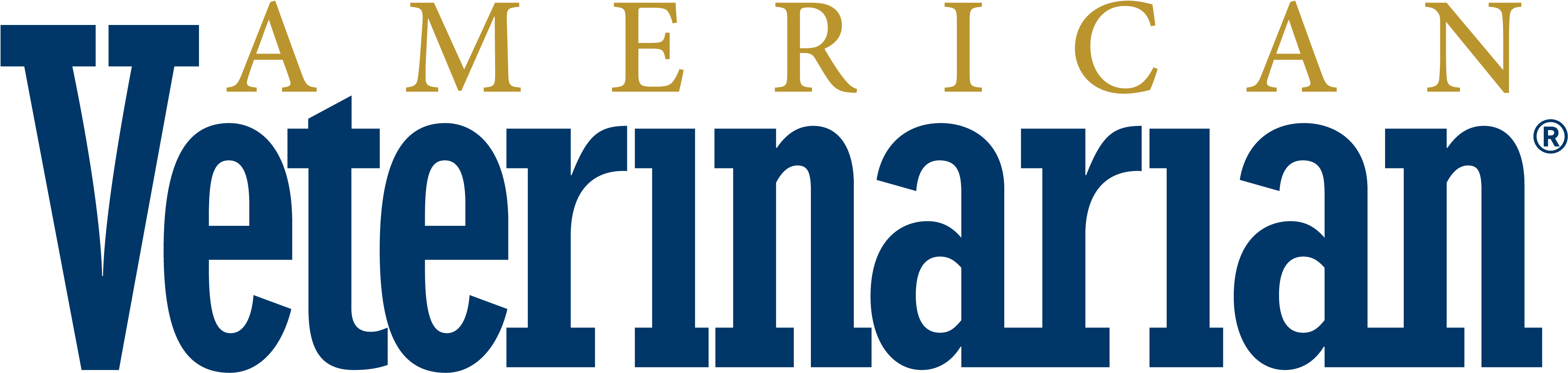 World Veterinary Day 2018 Theme (4502x1418), Png Download