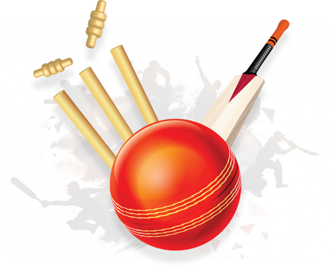 Vector Free Stock And Bat Png Transparent Images Pluspng Cricket Bat
